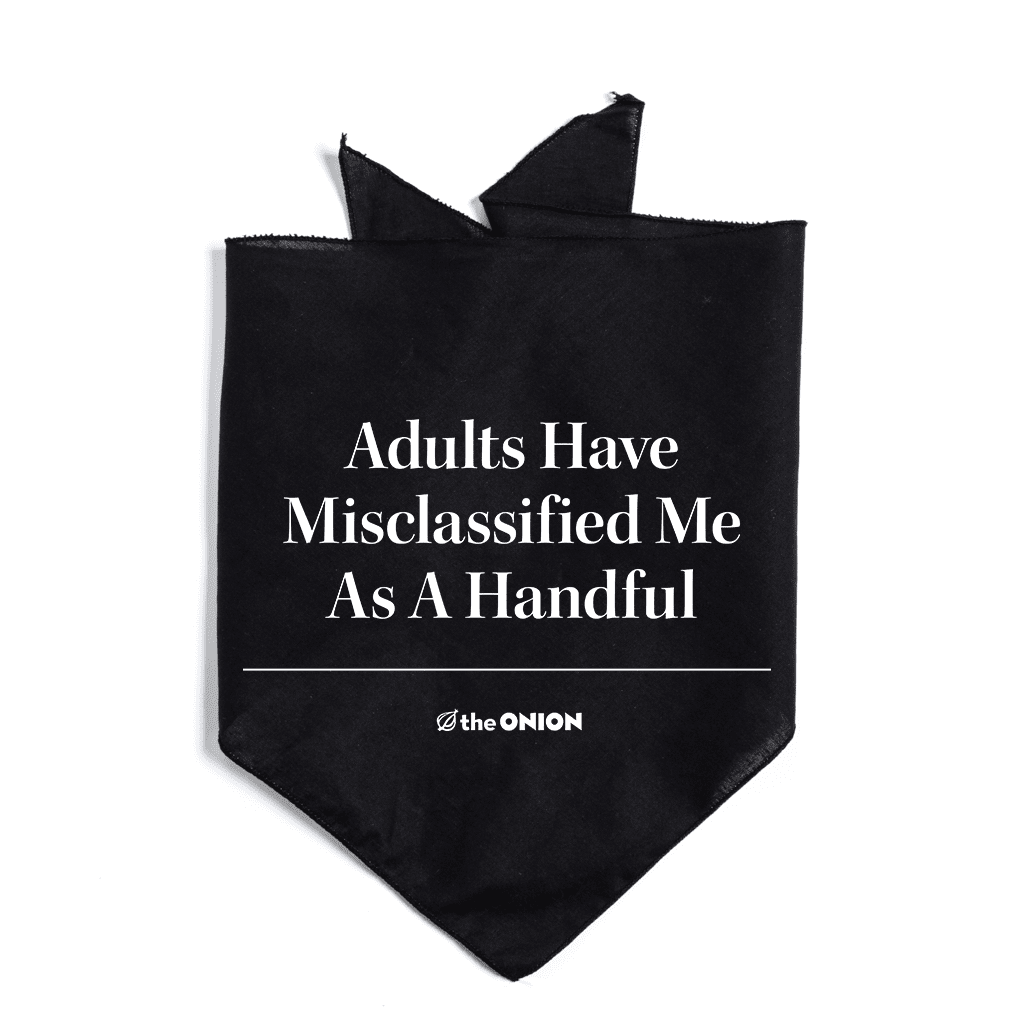 Adults Have Misclassified Me as a Handful Dog Bandana