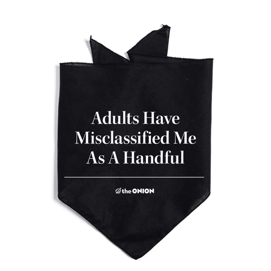 Adults Have Misclassified Me as a Handful Dog Bandana