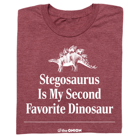 'Stegosaurus Is My Second Favorite Dinosaur' Graphic T-Shirt